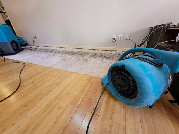 Professional Flood Damage Cleanup technician working in Riverside, IA